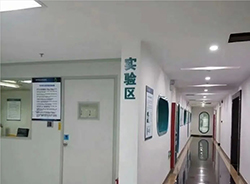 连云港妇保院能办理亲子鉴定吗，连云港医院做亲子鉴定办理的条件