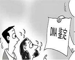 连云港司法DNA亲子鉴定哪里做
